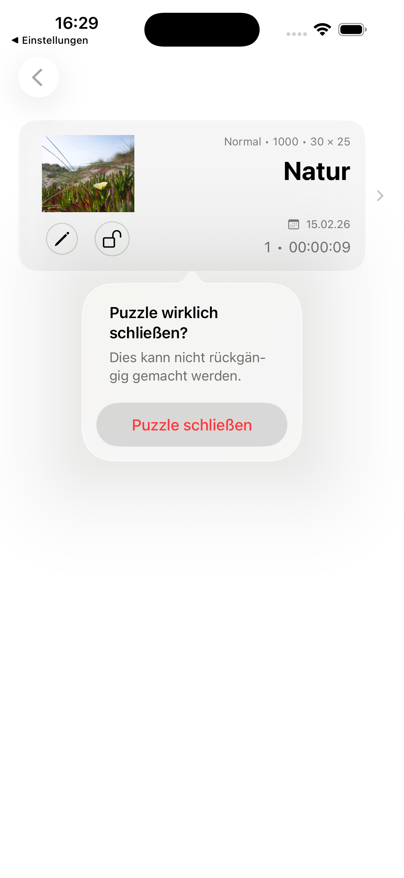 Puzzle beenden DE